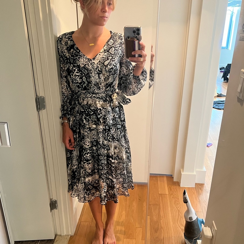 Alice & Olivia dress (rarely worn)